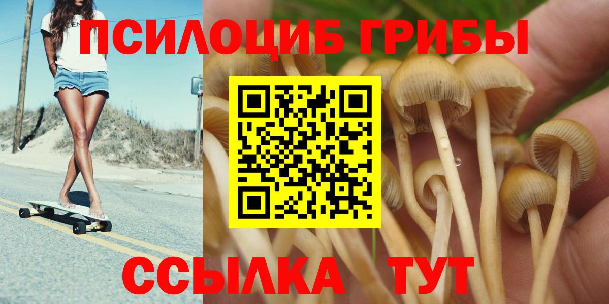 Псилоцибиновые грибы MAGIC MUSHROOMS  Вход с VPN  Знаменск  Псилоцибиновые грибы MAGIC MUSHROOMS 